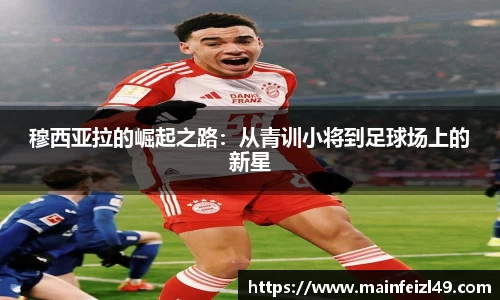 BB贝博ballbet
